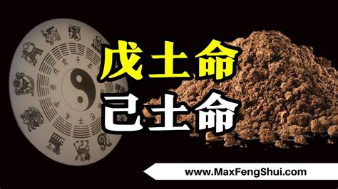 戊土怎麼算|【戊土怎麼算】戊土命理解析：解開自身5行相生相剋，天干地支。